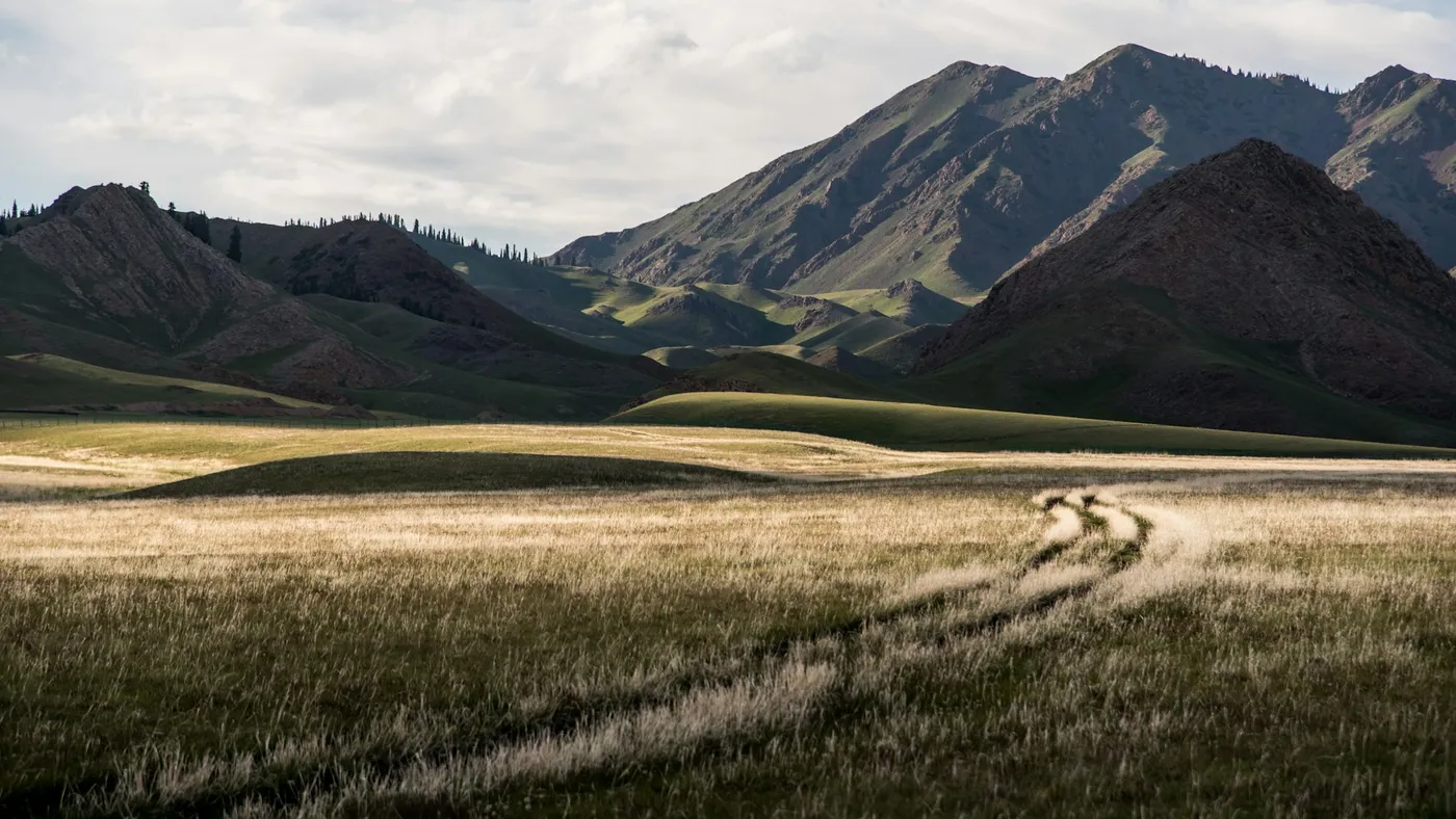Yuki Tanakas Installation Hybrid Landscapes